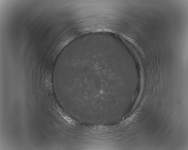 X0000057080881200509120917