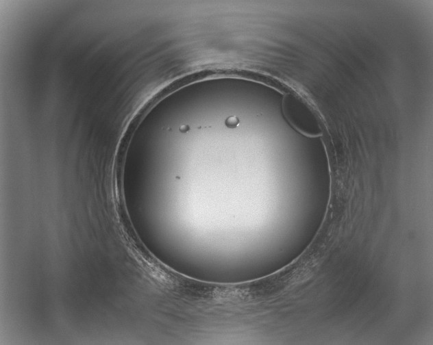 X0000057080887200509120917