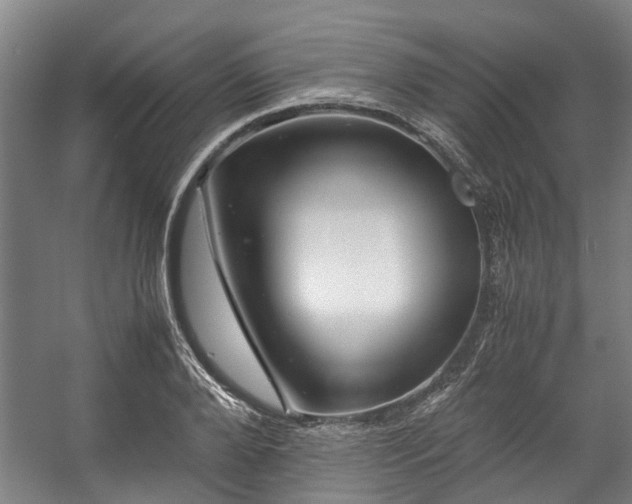 X0000057080888200509120917