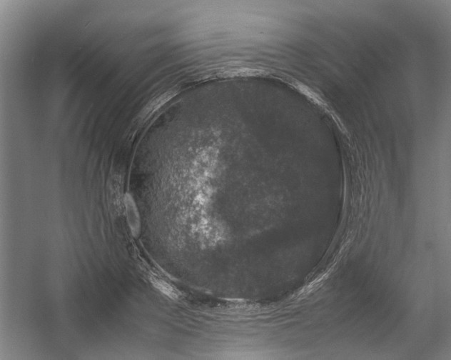 X0000057080889200509120917