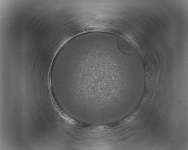 X0000057080891200509120917