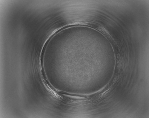 X0000057080892200509120917