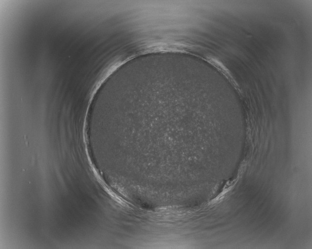 X0000057080893200509120917