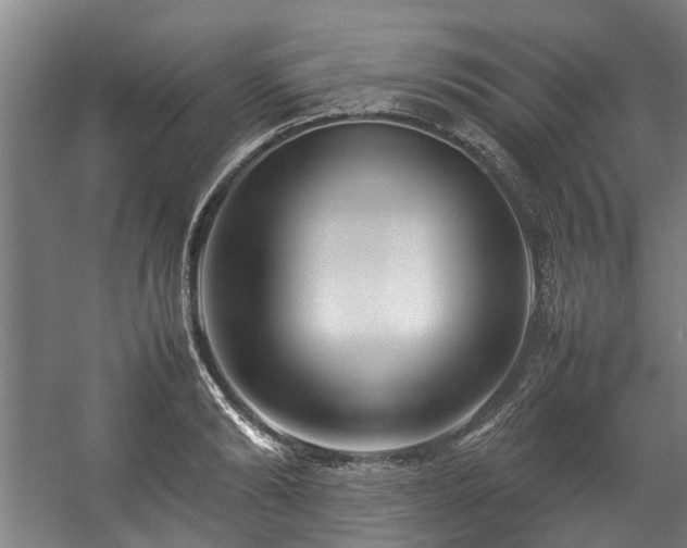 X0000057080894200509120917