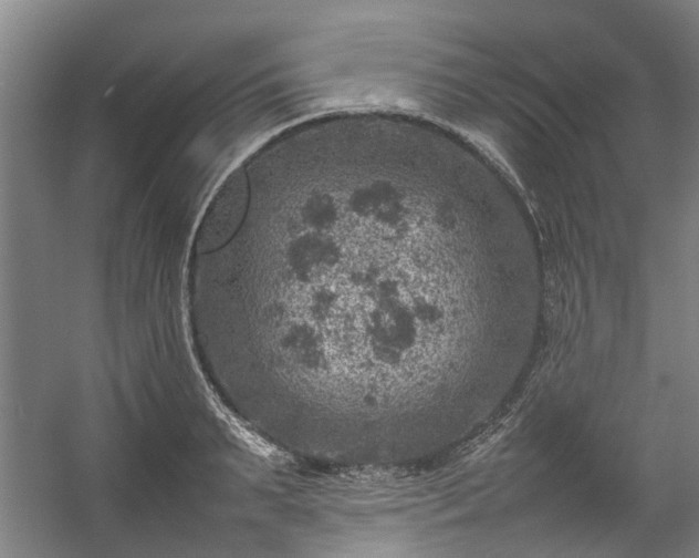 X0000057080895200509120917