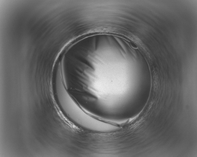 X0000057080896200509120917