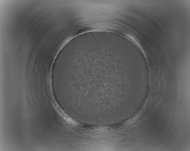 X0000057080899200509120917