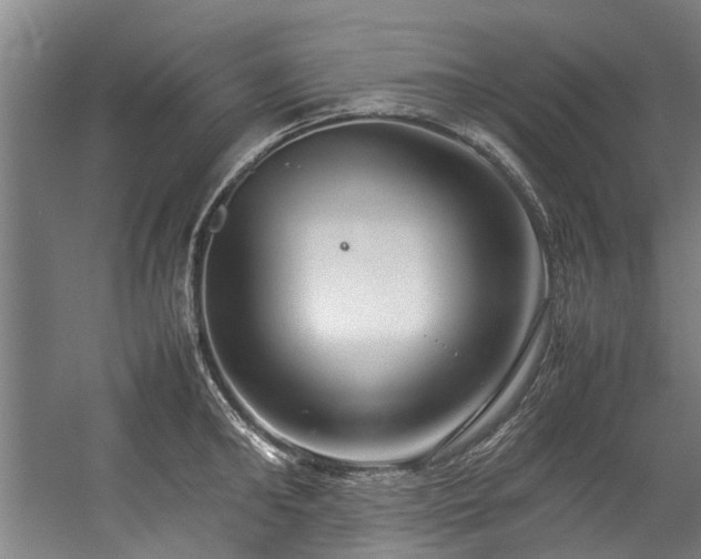 X0000057080902200509120917