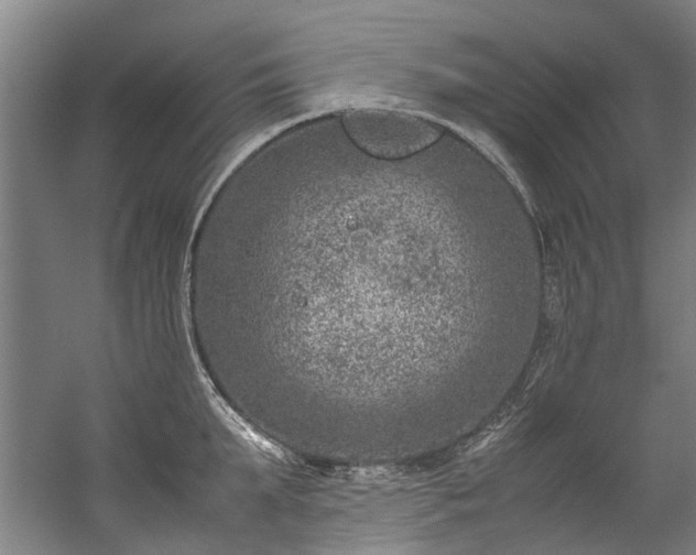 X0000057080903200509120917