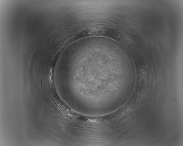 X0000057080914200509120916