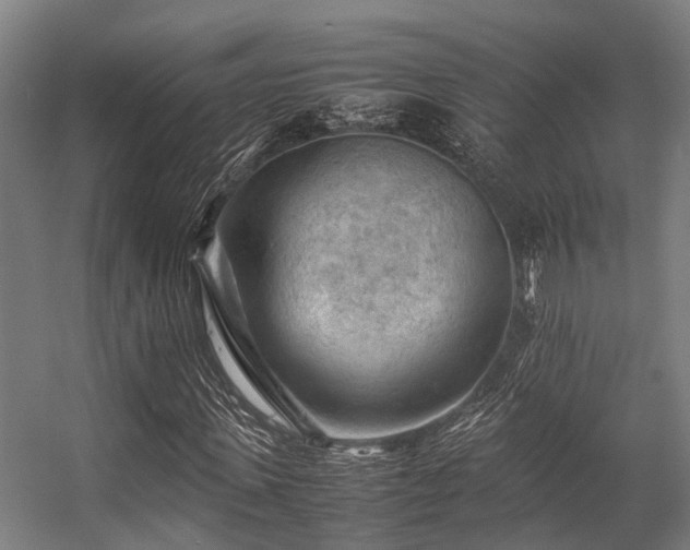 X0000057080915200509120916