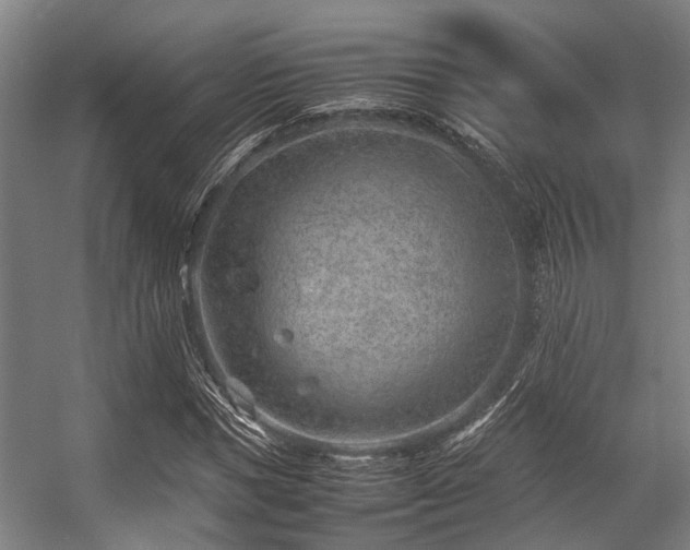 X0000057080921200509120916