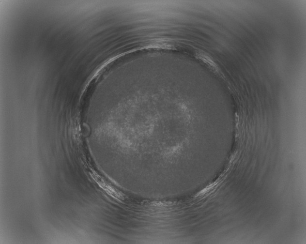 X0000057080923200509120916