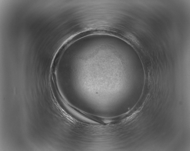 X0000057080924200509120916