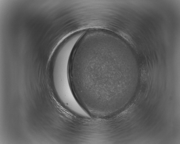 X0000057080926200509120916