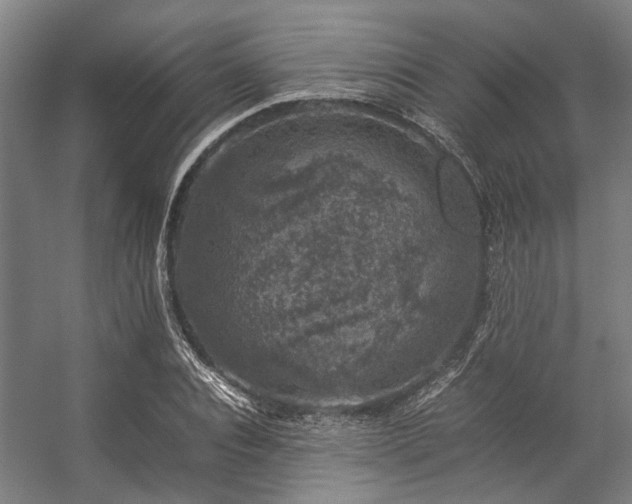 X0000057080928200509120916