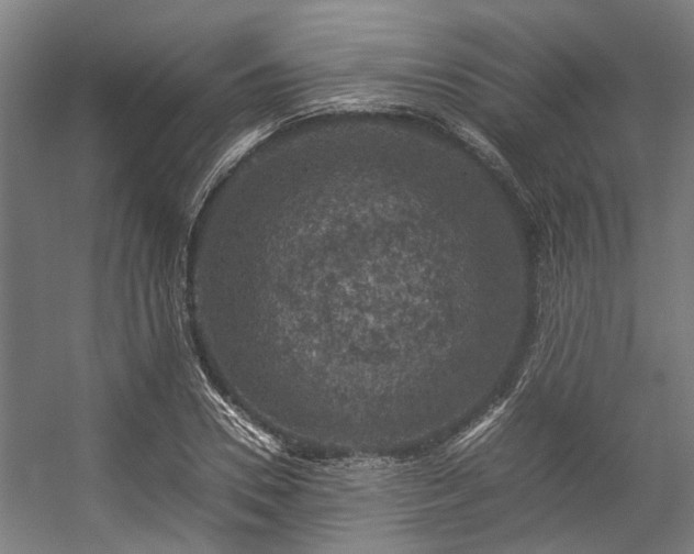 X0000057080930200509120916