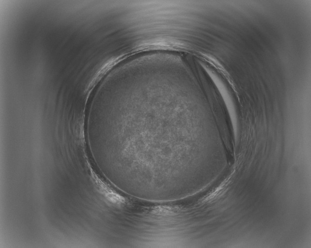 X0000057080938200509120917