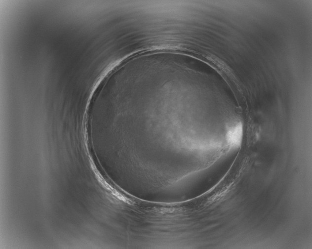 X0000057080941200509120917