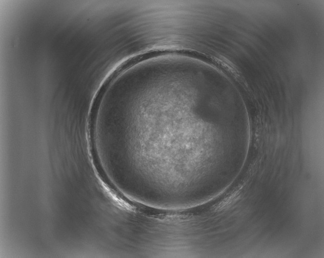 X0000057080942200509120917