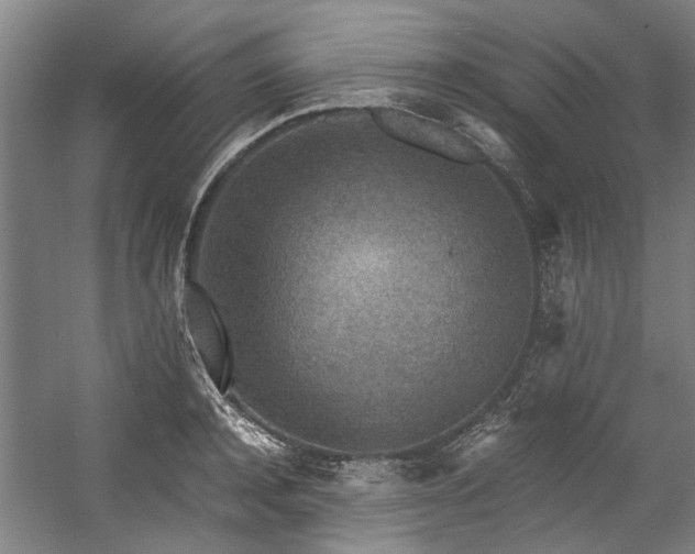 X0000057080944200509120917