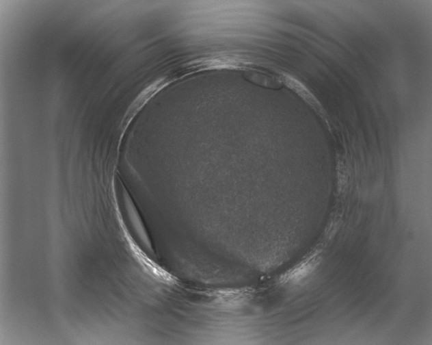 X0000057080946200509120917