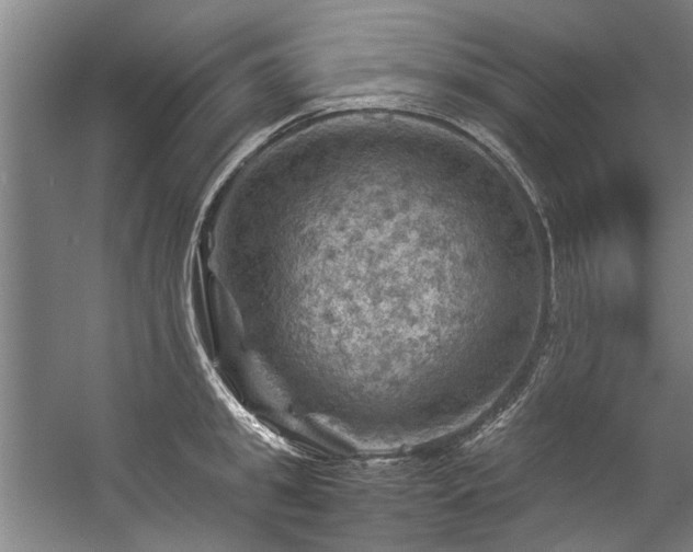 X0000057080949200509120917