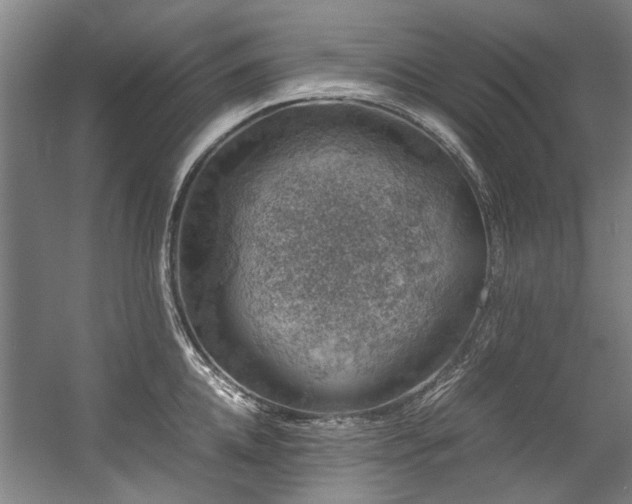 X0000057080952200509120917