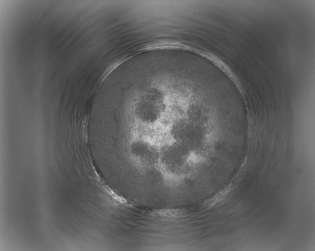 X0000057080953200509120917