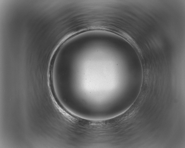 X0000057080955200509120917