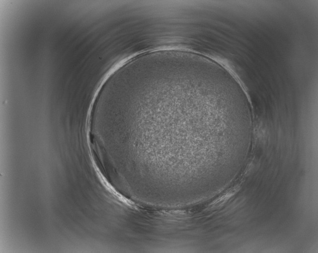 X0000057080957200509120917