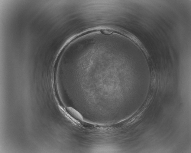 X0000057080958200509120917