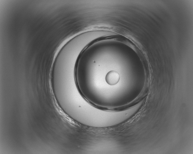 X0000057080960200509120917