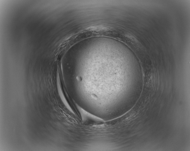 X0000057080966200509120916