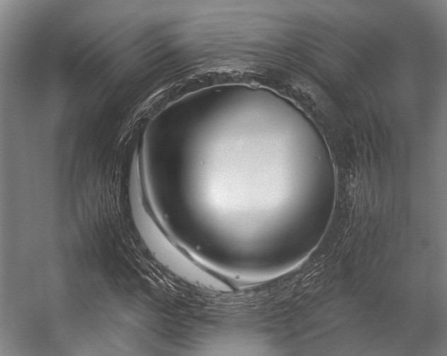 X0000057080968200509120916