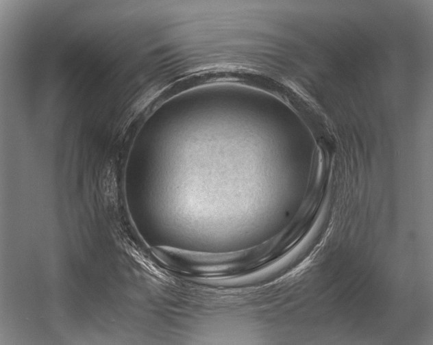 X0000057080969200509120916