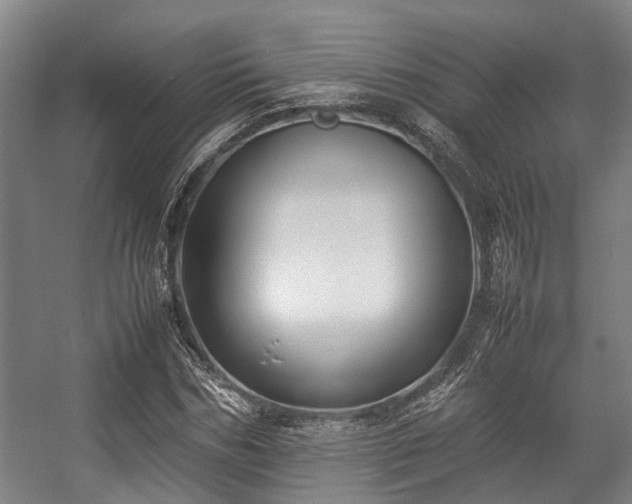 X0000057080970200509120916