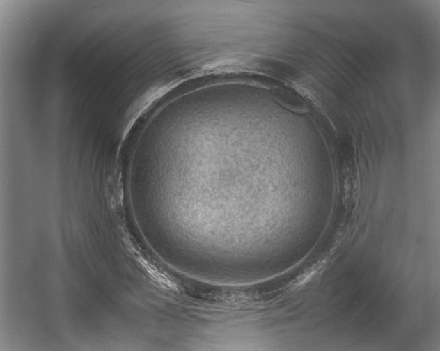 X0000057080973200509120916