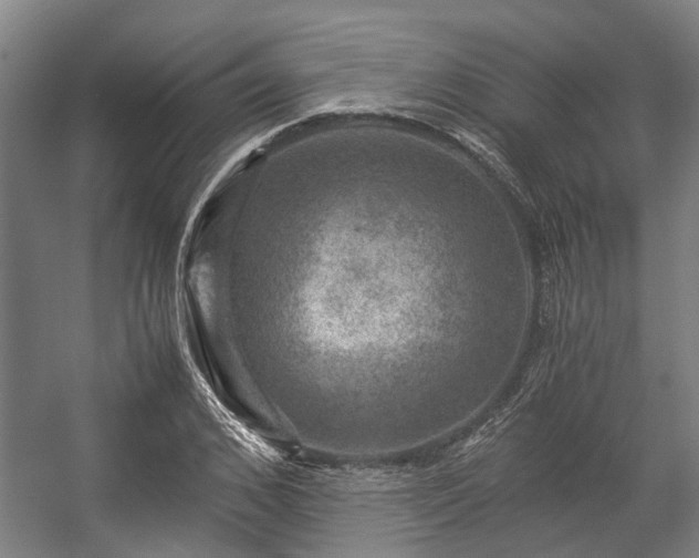 X0000057080976200509120916