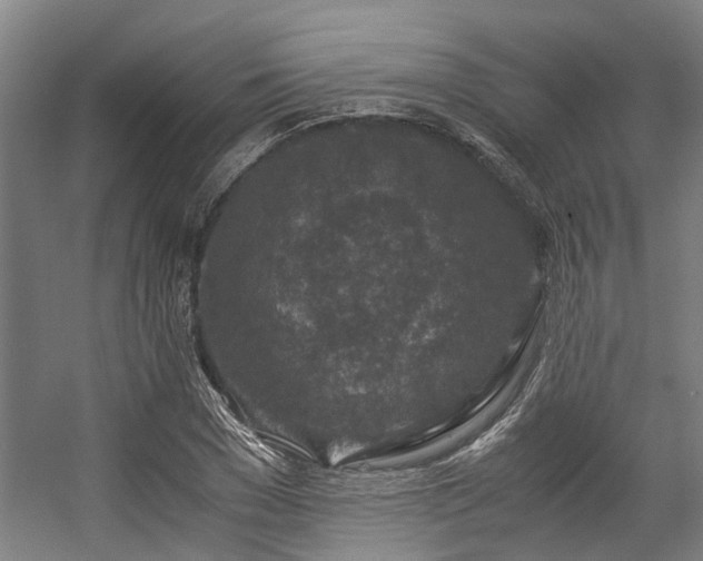 X0000057080977200509120916