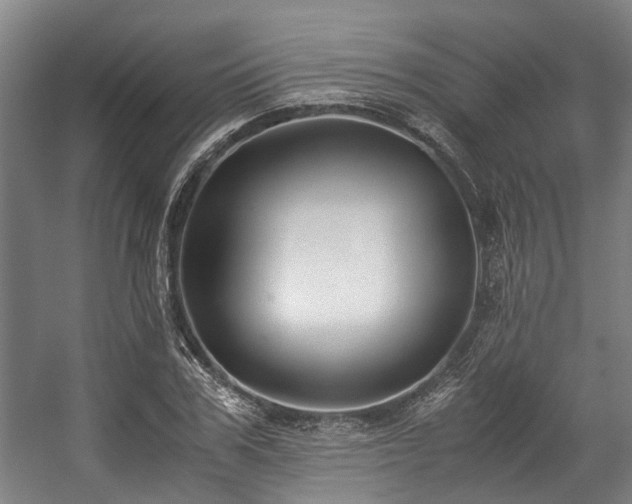 X0000057080979200509120916