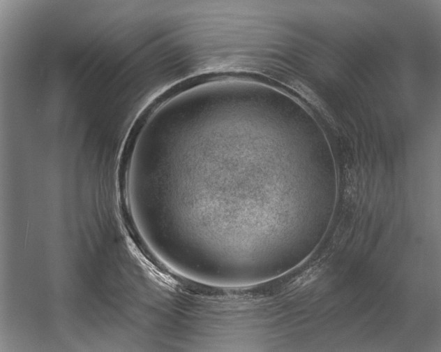 X0000057080980200509120916