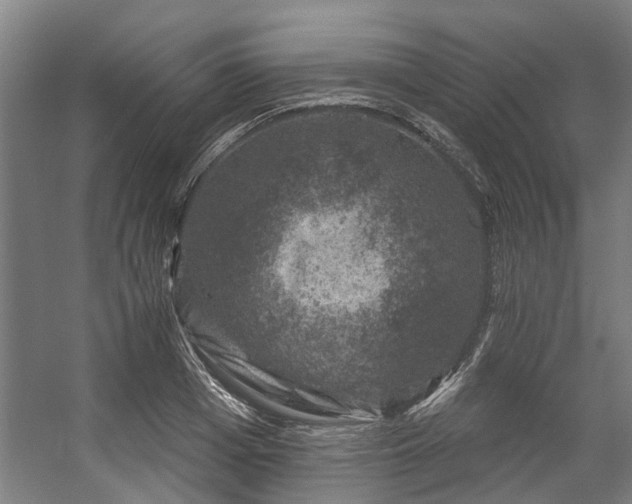 X0000057080985200509120916