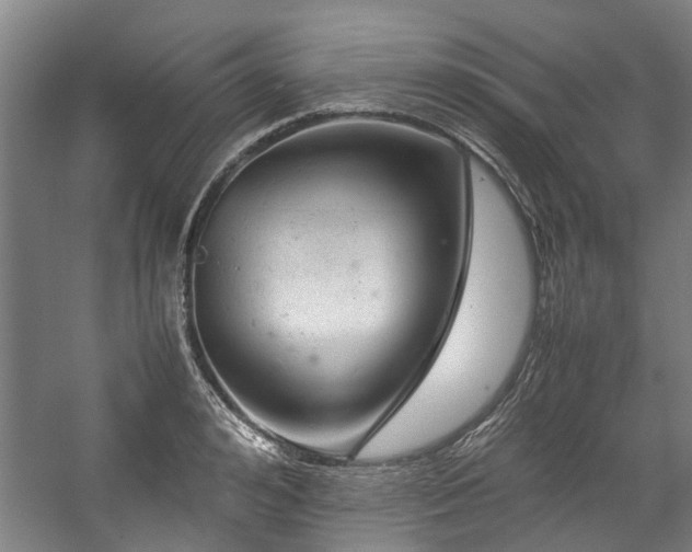 X0000057080992200509120916