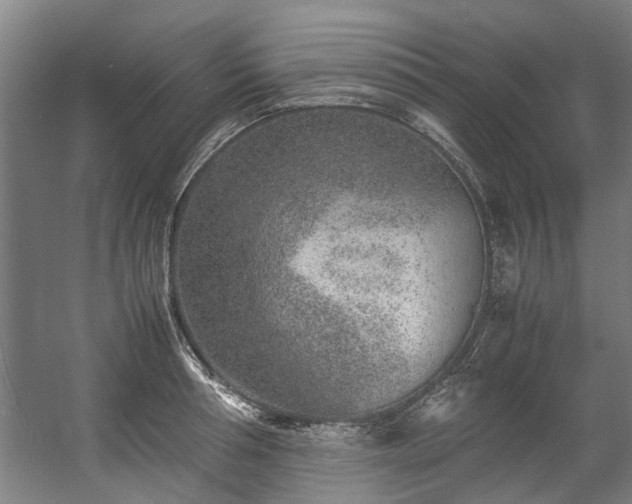 X0000057080994200509120916