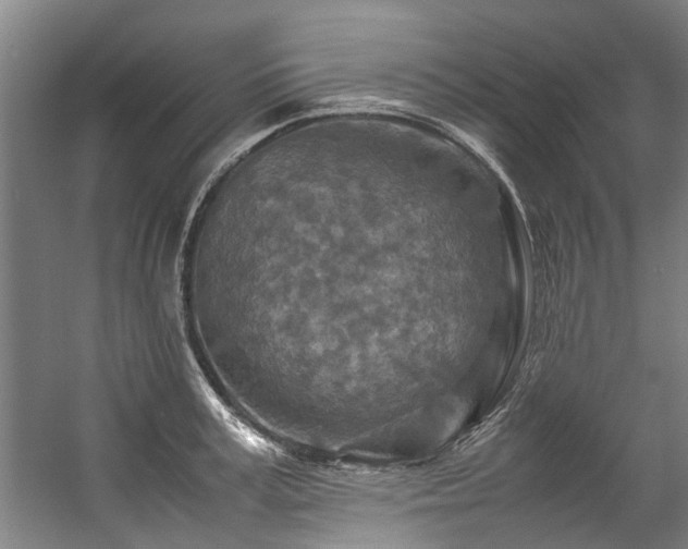 X0000057080995200509120915