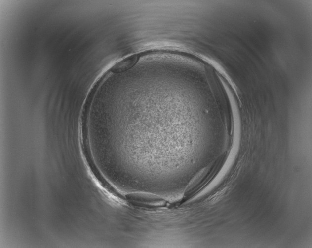 X0000057080999200509120915