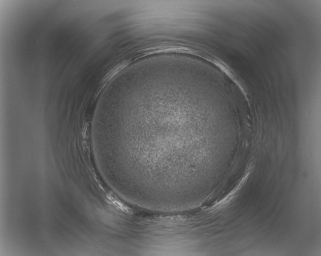 X0000057081001200509120915