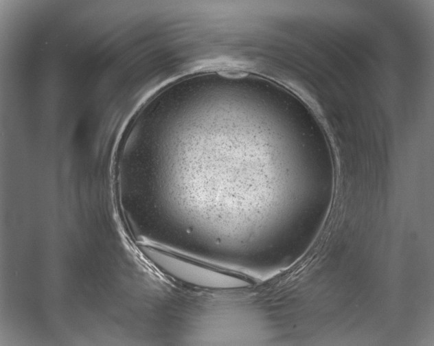 X0000057081008200509120915