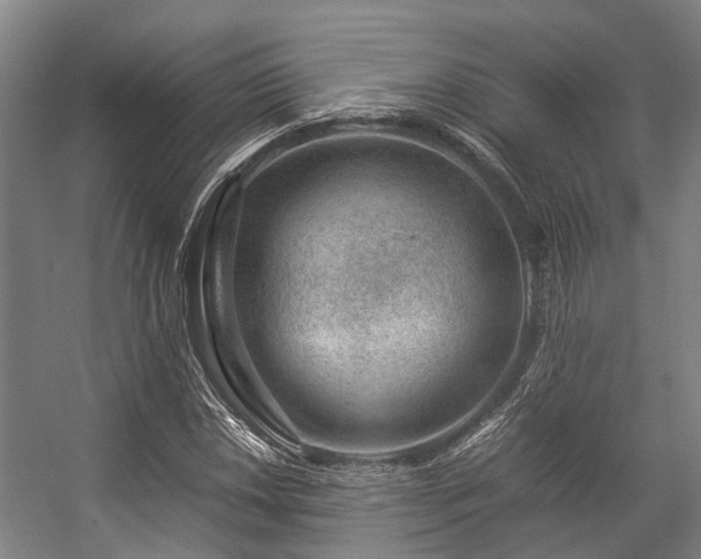 X0000057081018200509120915